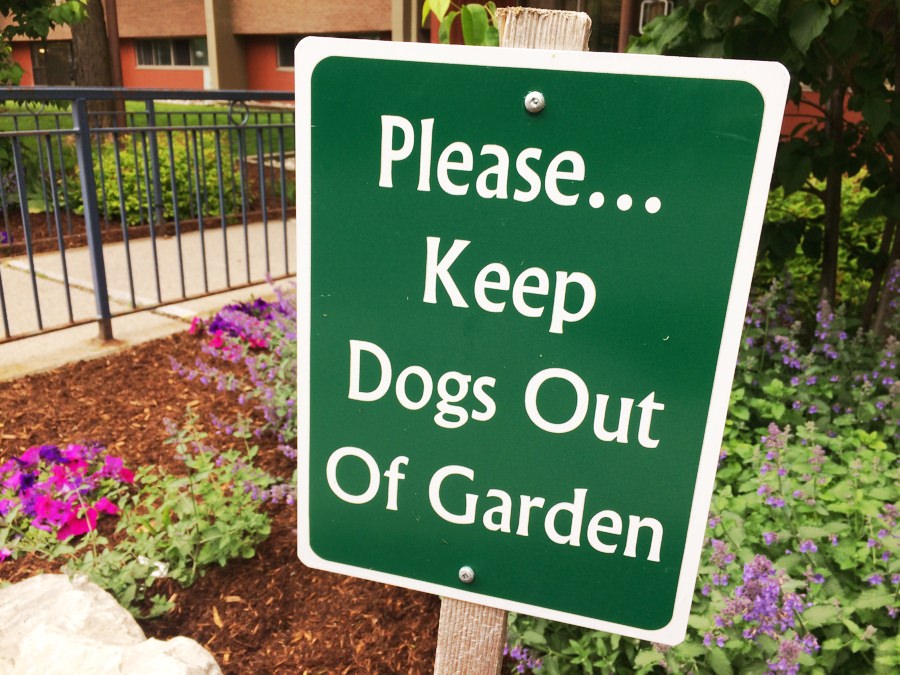 Keep Dog Out Of Garden Signs