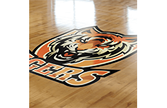 floor-graphic-1