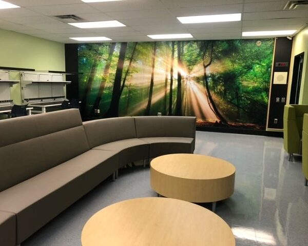 Interior Wall Murals