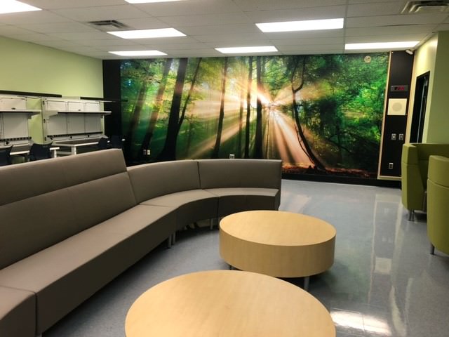 Custom interior wall mural installation